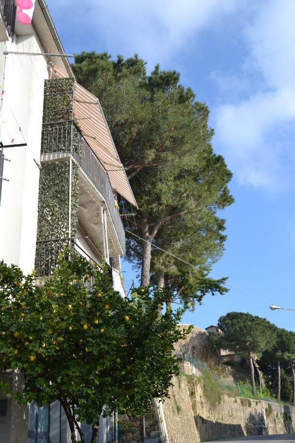 Casa Delle Mura 몬테메라노 외부 사진
